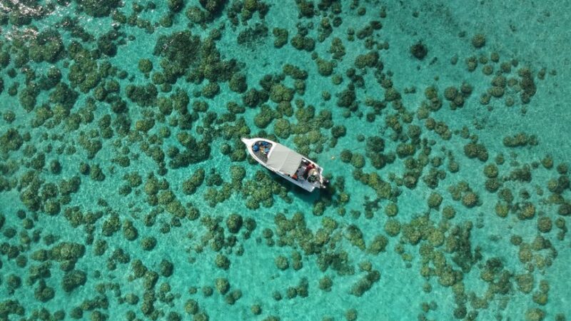 What do people eat in Niue?