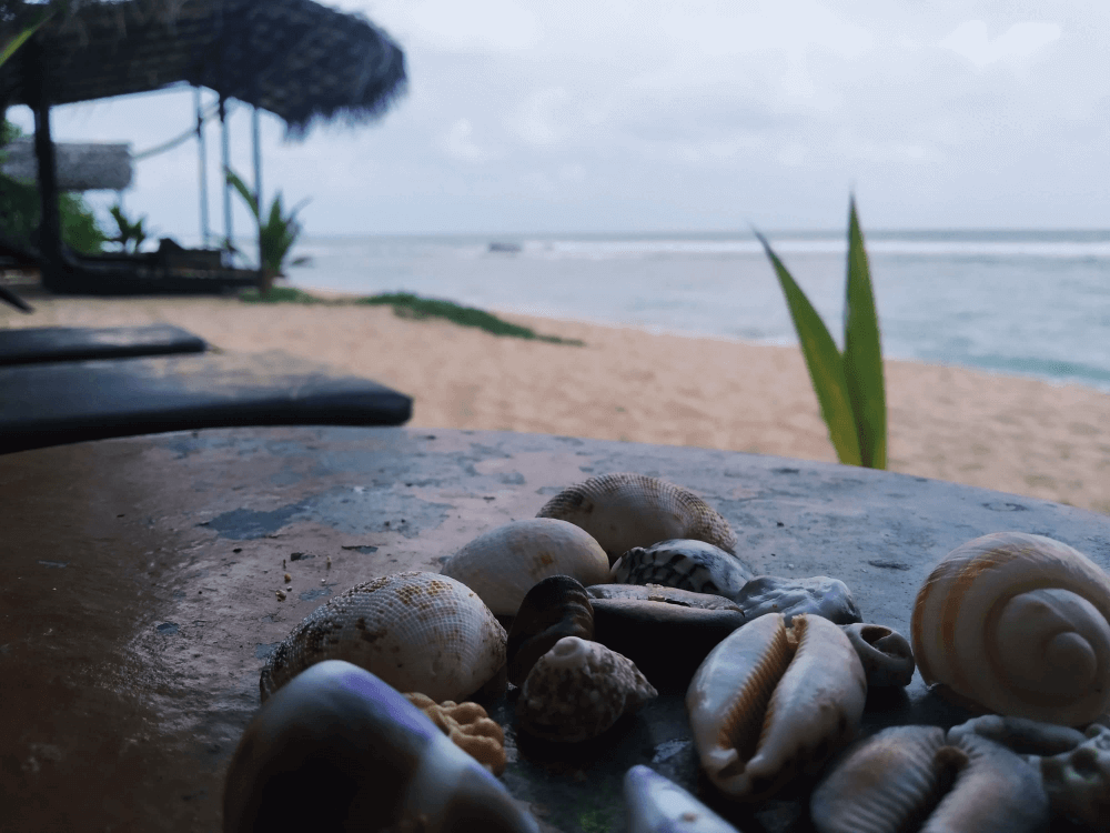 Family-Friendly Beaches in Sri Lanka for Kids