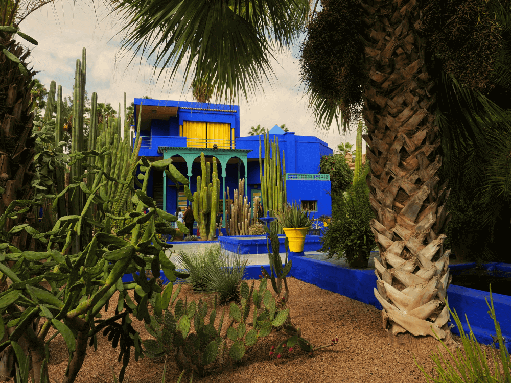 Free things to do in Marrakech: Vibrant blue house surrounded by cacti and palm trees at Jardin Majorelle, a free attraction in Marrakech