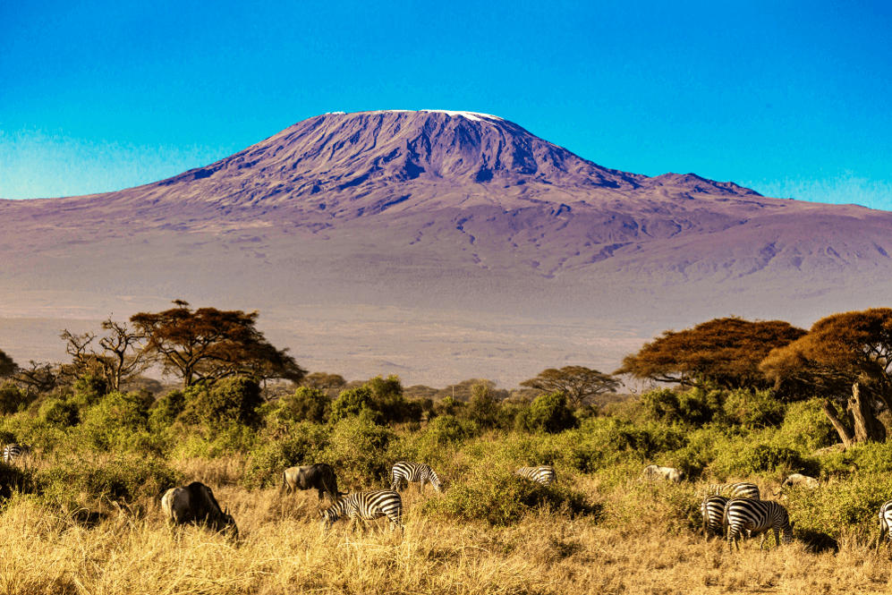 Stereotypes about Africa: Mount Kilimanjaro and zebras in Serengeti savanna — showcasing Africa’s ecological diversity beyond jungles and deserts