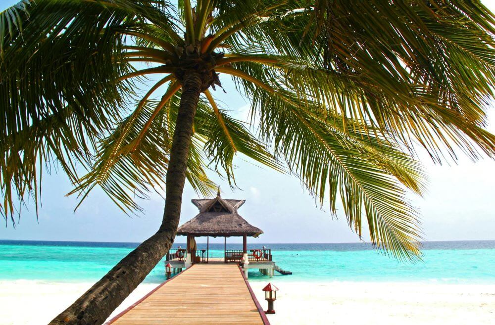 La Digue island, Seychelles: wooden jetty, palm trees, and quiet beaches — best explored by bike.