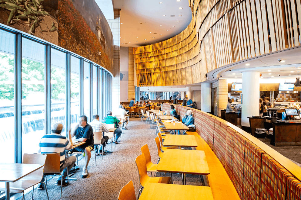 Dining at Mitsitam Café: Where Indigenous Food of North America Meets Modern Hospitality Indigenous food of North America: Interior of Mitsitam Café at Smithsonian NMAI — serving regionally inspired dishes to thousands yearly, co-created with tribal advisors.