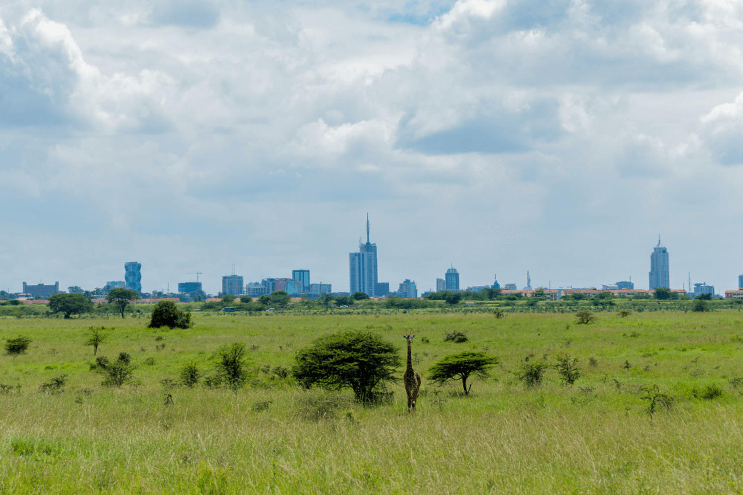 Stereotypes about Africa: Nairobi, Kenya's Silicon Savannah with modern skyscrapers and tech startups