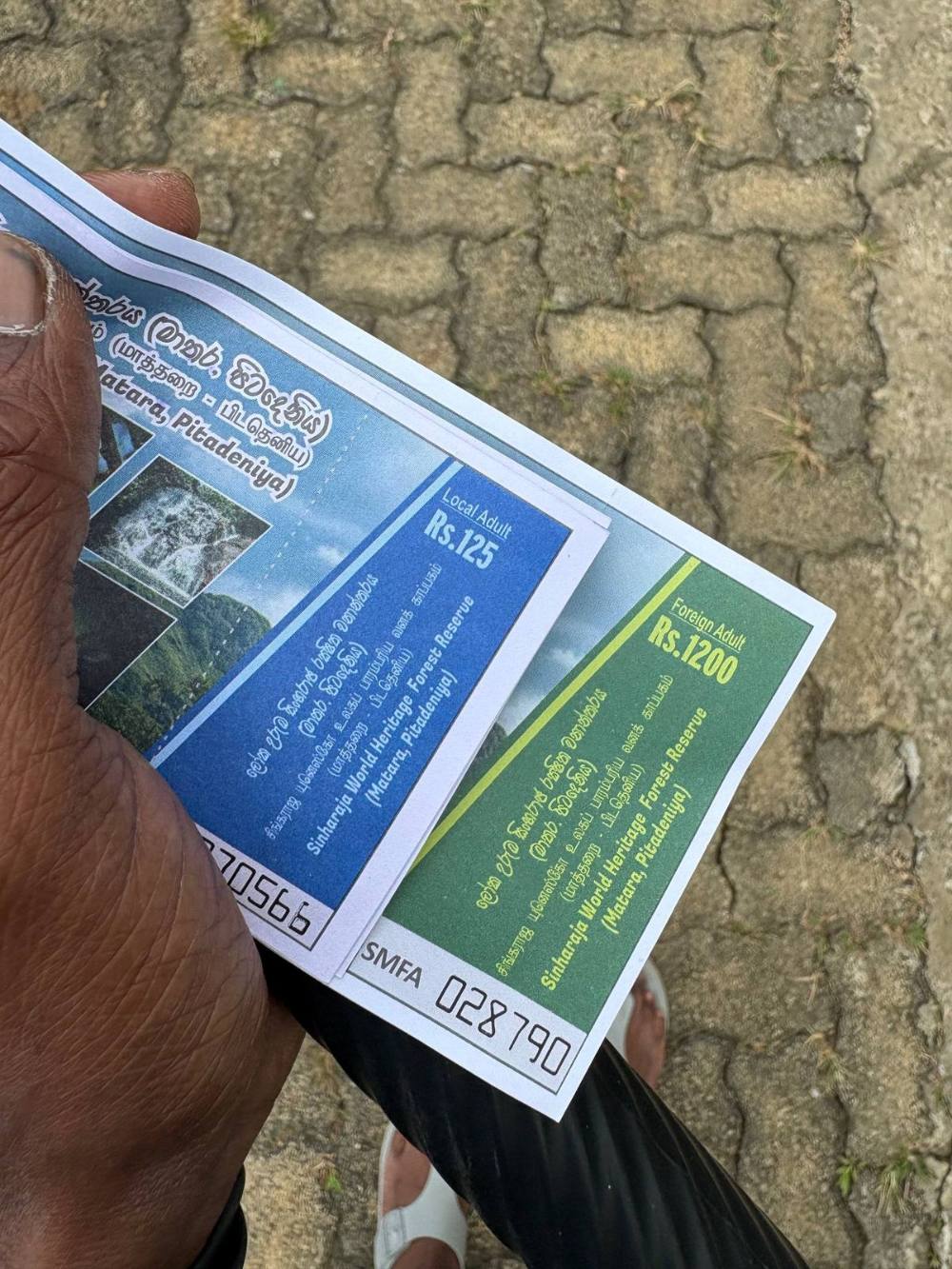 Sinharaja World Heritage Forest Reserve entrance tickets showing Rs 125 local adult and Rs 1200 foreign adult price