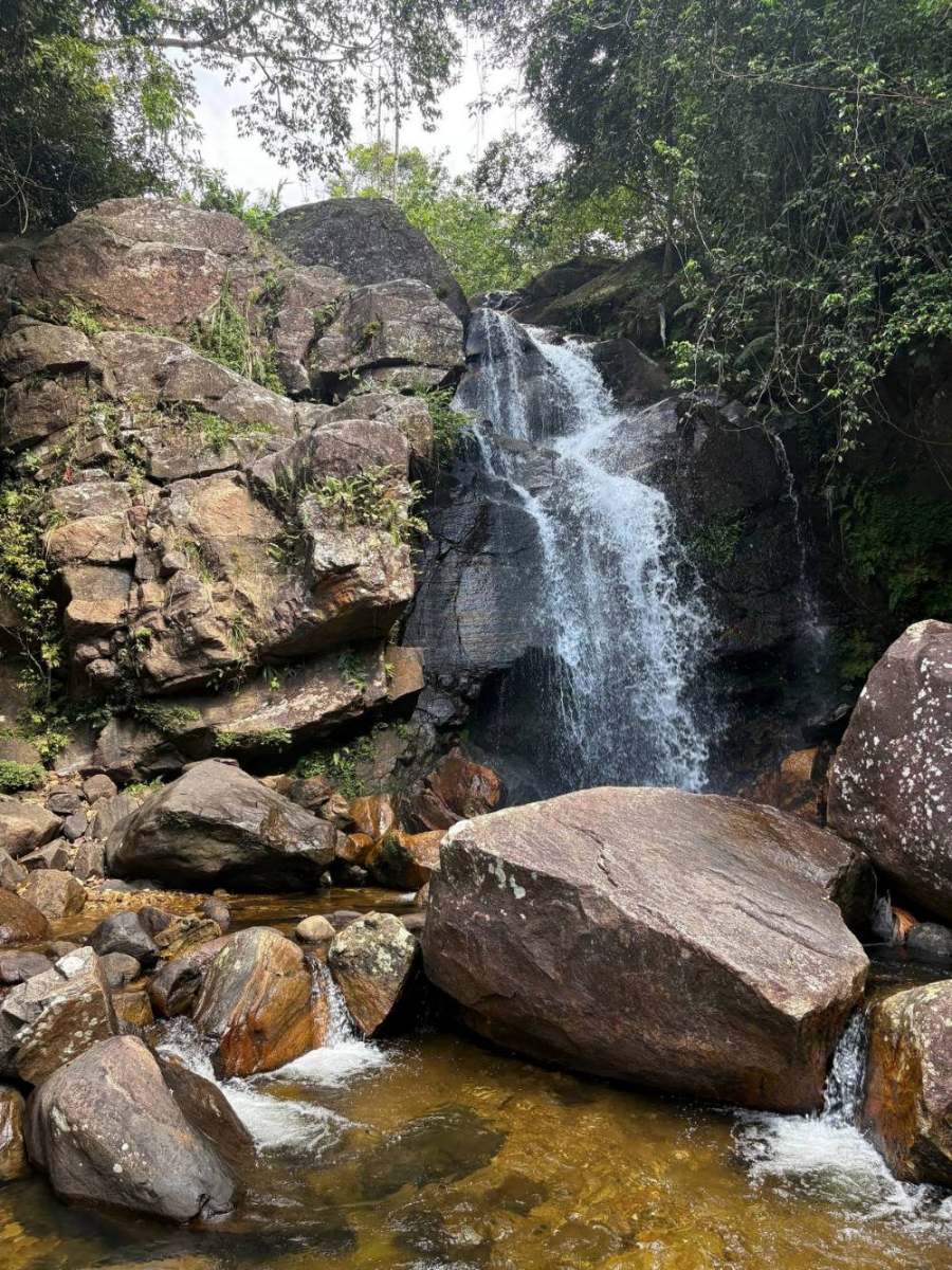 Main cascade waterfall at Sinharaja Rainforest Deniyaya with large boulders and rainforest canopy