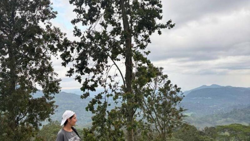 Sinharaja Rainforest Deniyaya: leeches, guides & why it’s worth it!
