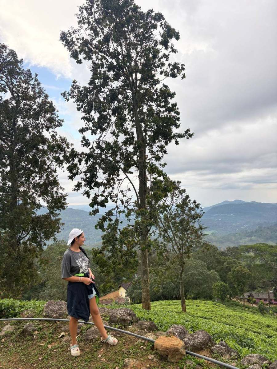 Person standing near tall tree above tea plantation with mountain valley view near Deniyaya