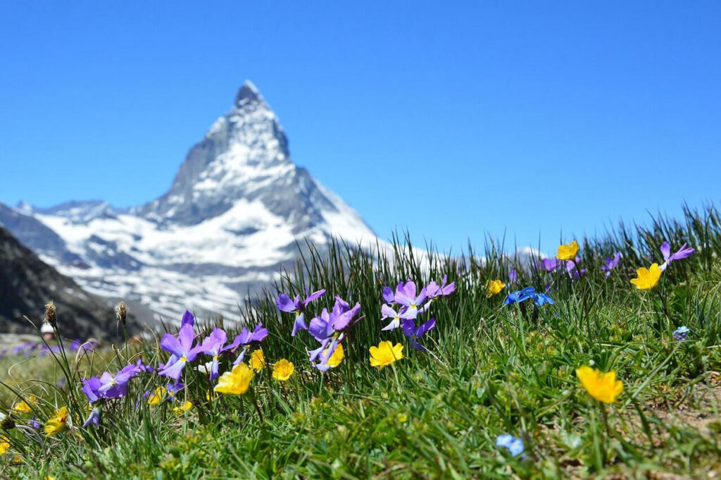 Swiss Alps and Geneva skyline – birthplace of Swiss watchmaking