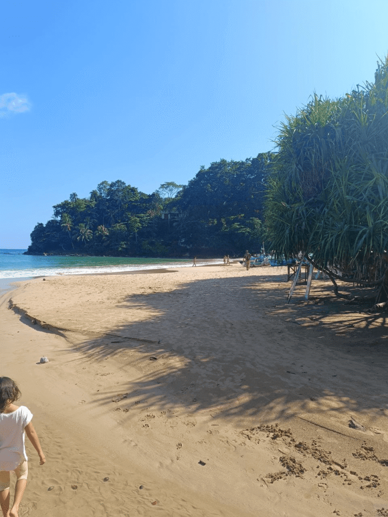 The beautiful Talalla beach, located just a 1-minute walk from Fat Burn Grill & Salads — perfect for relaxing strolls