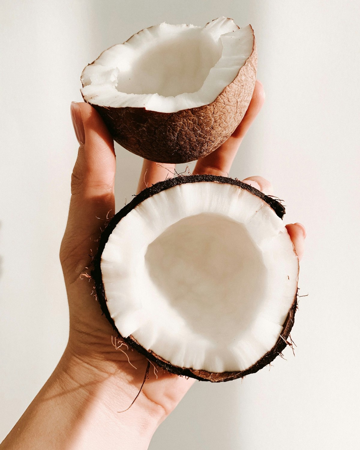 Fresh coconut halves used to make coconut cream for traditional food in Vanuatu